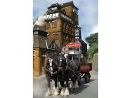 Hook Norton Brewery & Museum